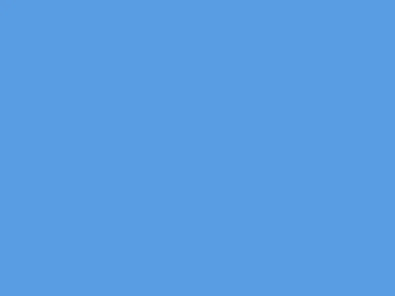 Boy.webp